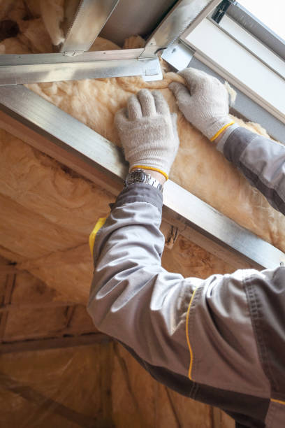 Best Crawl Space Insulation  in Cloverport, KY